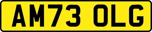 AM73OLG
