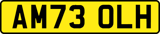 AM73OLH