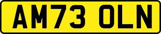AM73OLN