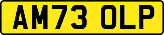 AM73OLP