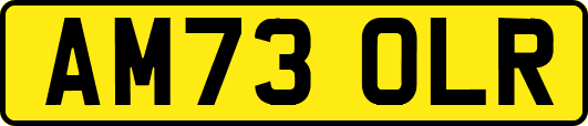 AM73OLR