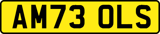 AM73OLS