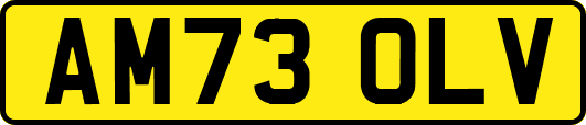 AM73OLV