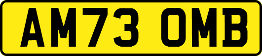 AM73OMB