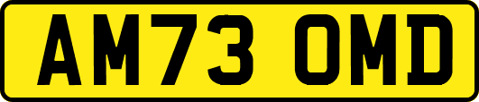 AM73OMD