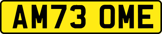 AM73OME
