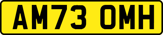 AM73OMH