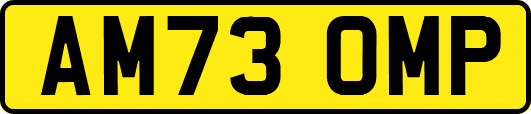 AM73OMP