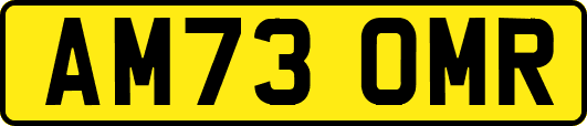 AM73OMR