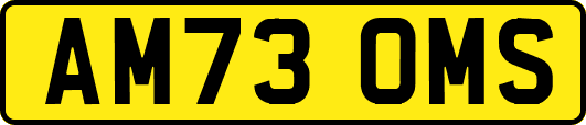 AM73OMS
