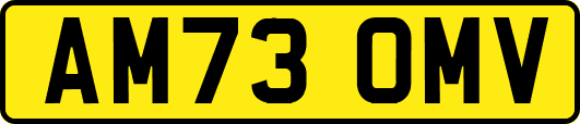 AM73OMV