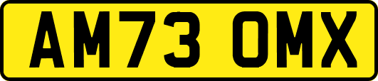 AM73OMX