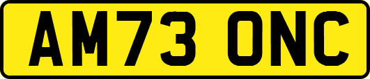 AM73ONC