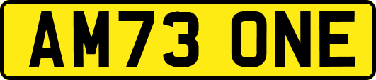 AM73ONE
