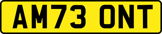 AM73ONT