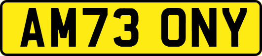 AM73ONY