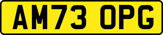 AM73OPG