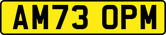 AM73OPM