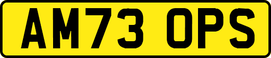 AM73OPS
