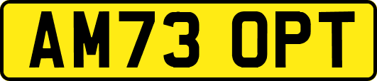 AM73OPT