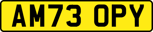 AM73OPY