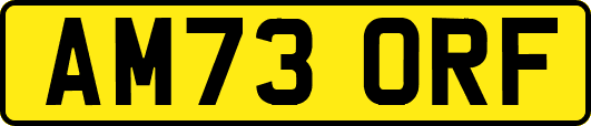 AM73ORF