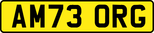 AM73ORG