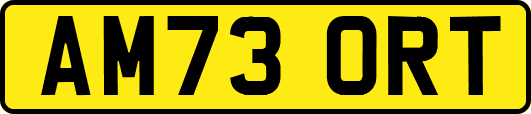 AM73ORT