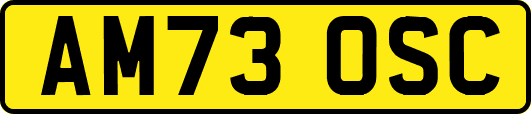 AM73OSC