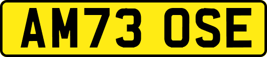 AM73OSE