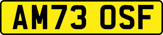 AM73OSF