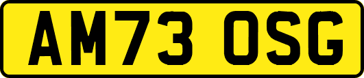 AM73OSG