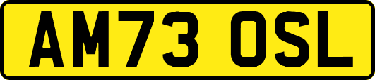 AM73OSL