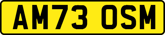 AM73OSM