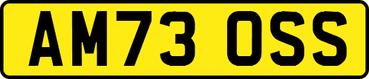 AM73OSS