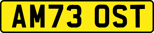 AM73OST