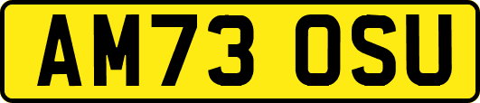 AM73OSU
