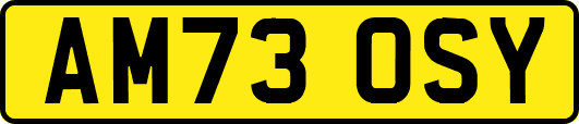 AM73OSY