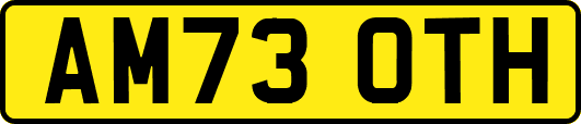 AM73OTH