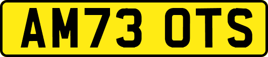 AM73OTS