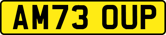 AM73OUP
