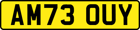AM73OUY