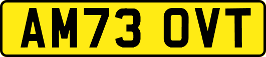 AM73OVT