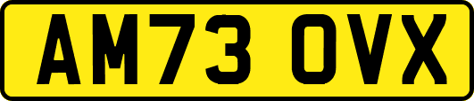 AM73OVX