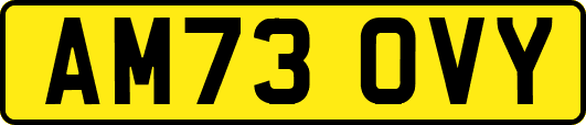 AM73OVY