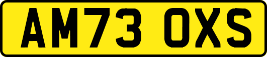 AM73OXS