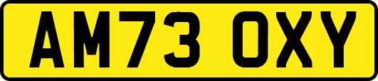 AM73OXY