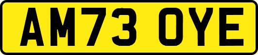 AM73OYE