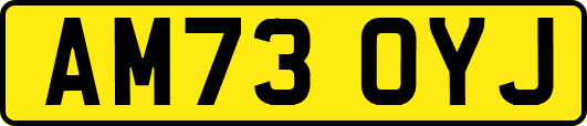 AM73OYJ