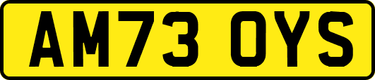 AM73OYS